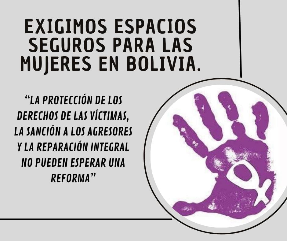 PRONUNCIAMIENTO: EXIGIMOS ESPACIOS SEGUROS PARA LAS MUJERES EN BOLIVIA. LA PROTECCIÓN DE LOS DERECHOS DE LAS VÍCTIMAS, LA SANCIÓN A LOS AGRESORES Y REPARACIÓN INTEGRAL NO PUEDEN ESPERAR UNA REFORMA