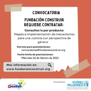 Consultor/a por producto: Mapeo e implementación de mecanismos para una Justicia con perspectiva de género