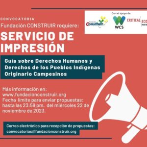 Convocatoria – Servicios de impresión: Guía sobre derechos humanos y derechos de los pueblos indígenas originario campesinos