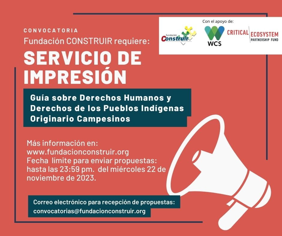 Convocatoria – Servicios de impresión: Guía sobre derechos humanos y derechos de los pueblos indígenas originario campesinos